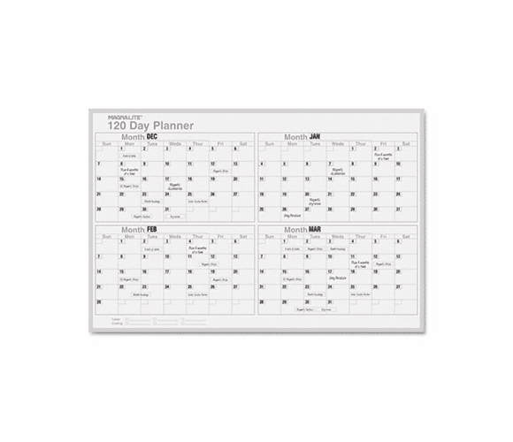 MAVML342 120-Day Planning Board, Porcelain-on-Steel, 48 x 36, Gray By MAGNA VISUAL, INC.