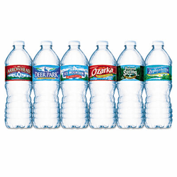 NLE101243 Bottled Spring Water, .5 Liter, Bottles, 24/Carton By NESTLE