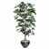 NUDT7781 Artificial Ficus Tree, 6-ft. Overall Height By NU-DELL MANUFACTURING
