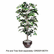 NUDT7781 Artificial Ficus Tree, 6-ft. Overall Height By NU-DELL MANUFACTURING
