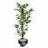 NUDT7789 Artificial Bamboo Tree, 6-ft. Overall Height By NU-DELL MANUFACTURING