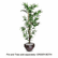 NUDT7789 Artificial Bamboo Tree, 6-ft. Overall Height By NU-DELL MANUFACTURING