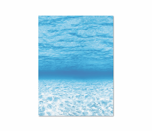 PAC56525 Fadeless Designs Bulletin Board Paper, Under the Sea, 50 ft x 48" By PACON CORPORATION