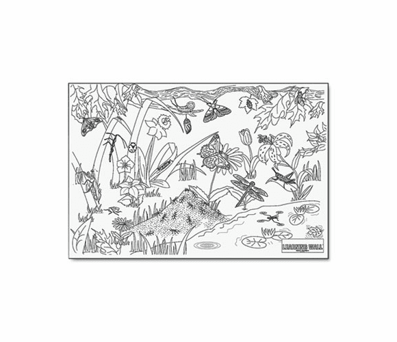 PAC78920 Learning Walls Paper, Insects, 72" x 48" By PACON CORPORATION