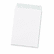 QUA44582 Redi Strip Catalog Envelope, 9 x 12, White, 100/Box By QUALITY PARK PRODUCTS