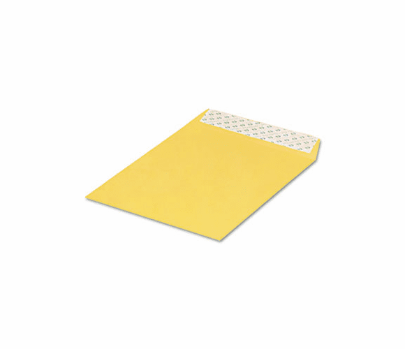 QUA44762 Redi Strip Catalog Envelope, 10 x 13, 28lb, Light Brown, 100/Box By QUALITY PARK PRODUCTS