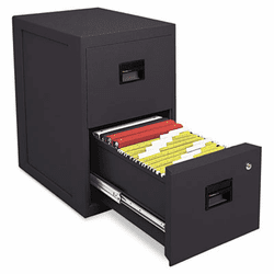 SEN6000B FIRE-SAFE 2-Drawer Insulated Vertical File, 17-1/2w x 23-1/4d x 28h, Black By SENTRY