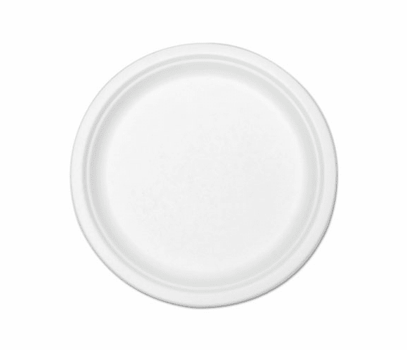 STMP005R Compostable Tableware, 10" Plate, White, 300/Carton By ASEAN