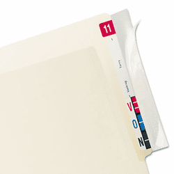 TAB68386 Protector, End Tab Folder, 8x2, Clear, 100/PK By TABBIES