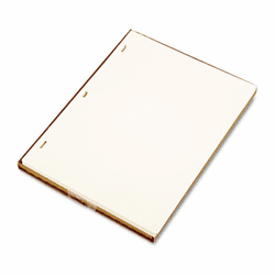 WLJ90110 Looseleaf Minute Book Ledger Sheets, Ivory Linen, 11 x 8-1/2, 100 Sheet/Box By WILSON JONES CO.