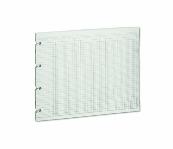 WLJG1024 Accounting Sheets, 24 Column, 9-1/4 x 11-7/8, 100 Loose Sheets/Pack, Green By WILSON JONES CO.