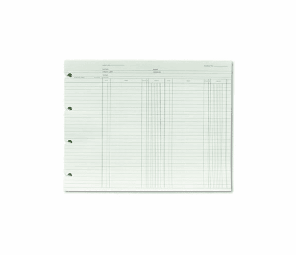 WLJGN2B Accounting, 9-1/4 x 11-7/8, 100 Loose Sheets/Pack By WILSON JONES CO.