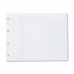 WLJN2D Accounting, 9-1/4 x 11-7/8, 100 Loose Sheets/Pack By WILSON JONES CO.