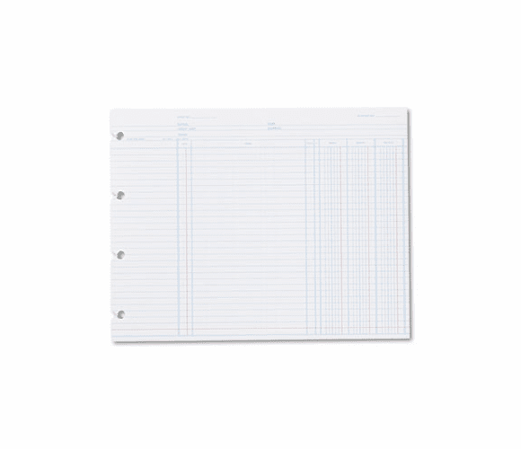 WLJN2D Accounting, 9-1/4 x 11-7/8, 100 Loose Sheets/Pack By WILSON JONES CO.