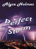 Perfect Storm