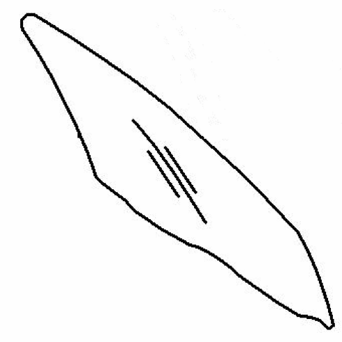 DIY Front Door Glass Passenger Side Hyundai Santa Fe Sport 2013-2018