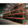 Front Windshield Glass Ford F Series 2 Door Standard Cab 2023