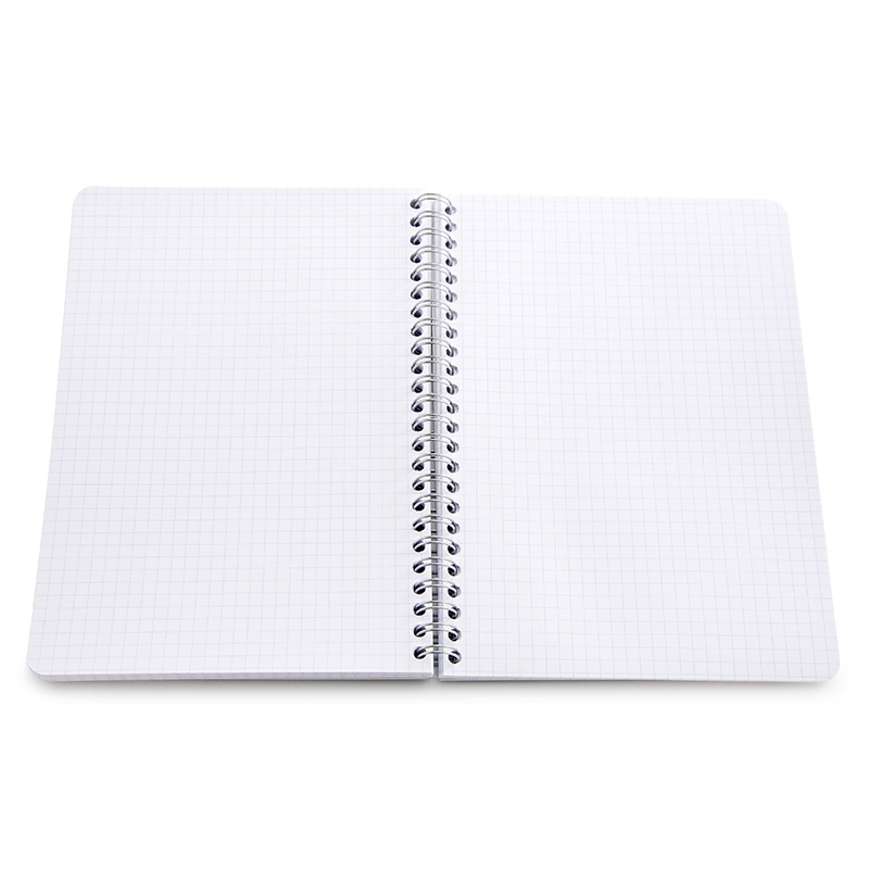 Clairefontaine Classic Large Side Spiralbound Notebook (6 x