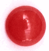Coral Coral