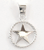 Flat Texas Star