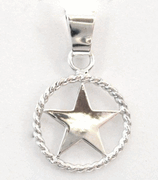 Flat Texas Star