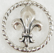 Fleur de Lis Jewelry