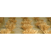 JTT Trees 95579 DETACHABLE WHEAT BUSHES, HO-scale, 30/pk