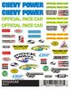 PineCar 317 Dry Transfer Decals - Stockcar