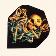 Alchemy Standard Dart Flights FAL14 - Black with Ghostly Skeleton