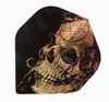 Alchemy Standard Dart Flights FAL22 - Copper Samain Skull Alchemy Standard Dart Flights FAL22 - Copper Samain Skull