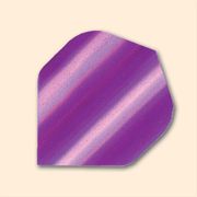 Hologram Standard Dart Flight #9009