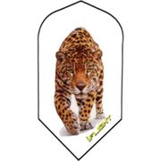 I Flight Slim Dart Flight 526 Leopard