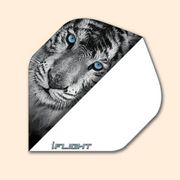 I Flight Standard Dart Flight 119 - Tiger