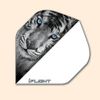 I Flight Standard Dart Flight 119 - Tiger