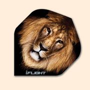 I Flight Standard Dart Flight 123 - Lion Head