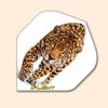 I Flight Standard Dart Flight 127 - Real Leopard
