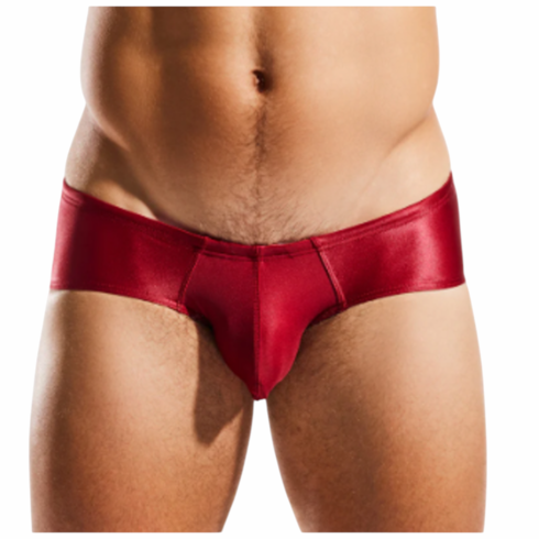 Contour Pouch Boy Leg Swim Brief Ruby