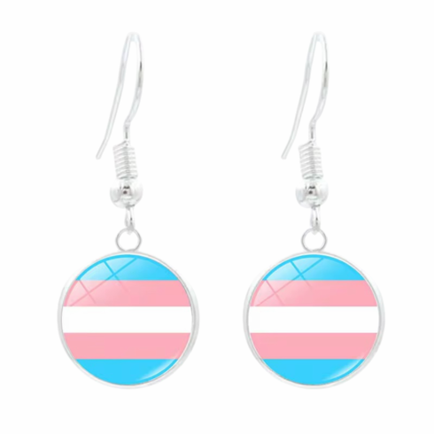 Earrings - Fish Hook Trans