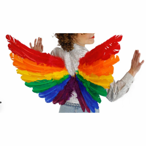Festival Costume Wings Rainbow 29.5" x 41"