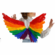 Festival Costume Wings Rainbow 29.5" x 41"