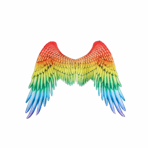 Festival Costume Wings Rainbow 29.5" x 41"