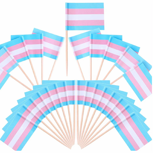 Flag Toothpick Cupcake Markers - 100/pk Trans