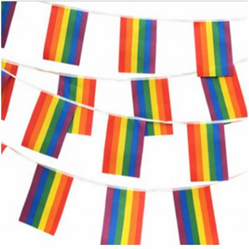 Flags/Bunting - Poly Rainbow 18'