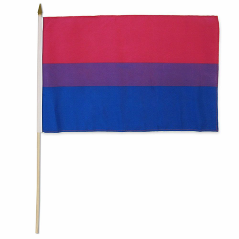Flags - Poly Bi 12" x 18"