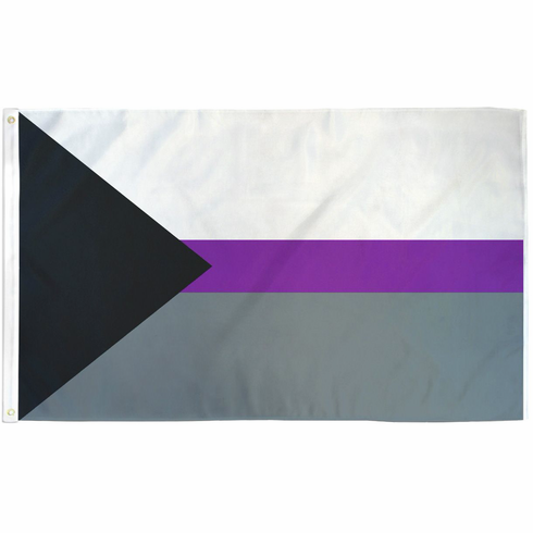 Flags - Poly DemiSexual 3' x 5'