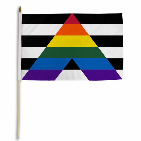 Flags - Poly G/S Alliance 12" x 18"