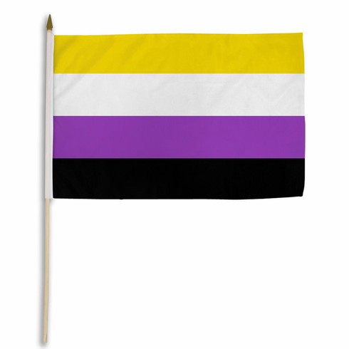 Flags - Poly Non-Binary 12" x 18"