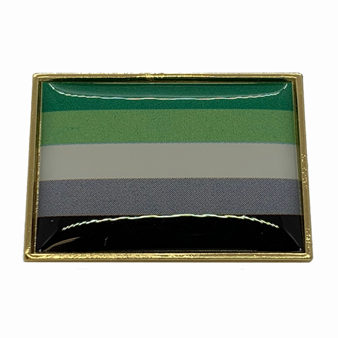 Lapel Pins Aromantic