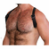 Leather Holster Harness Black/Black