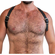 Leather Holster Harness Black/Silver